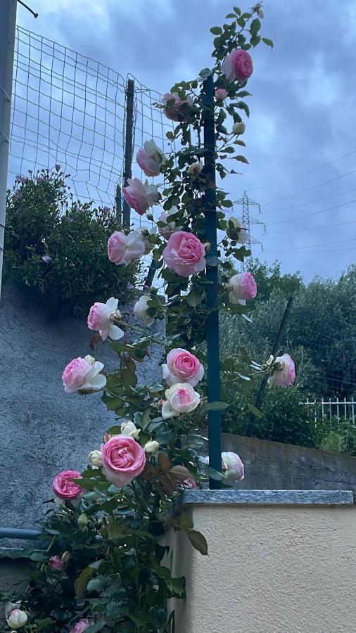 Gli Agrumi Giustenice Buitenkant foto