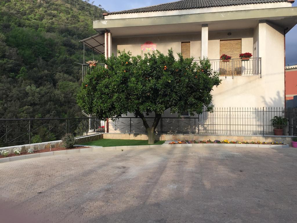 Gli Agrumi Giustenice Buitenkant foto